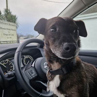 BrigidMFlanaga1's profile picture. Research Operations Consultant |Nurse | Book Lover | Over-Educated | News Hound | Lover of all things Italian | Former New Englander |  now on BlueSky!