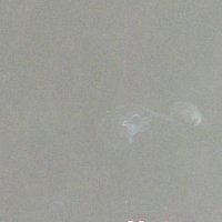 まるいなにか (@sumyeon___o) 's Twitter Profile