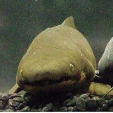 Asvalon34's profile picture. 