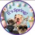 The Adventures of Elvis,Teddy,Bear,Cookie and Coco (@elvisbulldoguk1) Twitter profile photo The Adventures of Elvis,Teddy,Bear,Cookie and Coco (@elvisbulldoguk1) Twitter profile photo