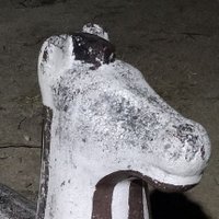 γγπ¨ (@draw_ecc) 's Twitter Profile