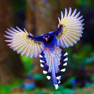 2020_wth's profile picture. Liberty!
Blocked by Scott Adams.
The management of govt should not be ideologically flavored.