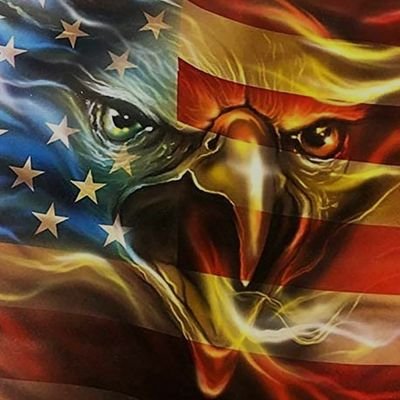 Bmbshlltrth's profile picture. 