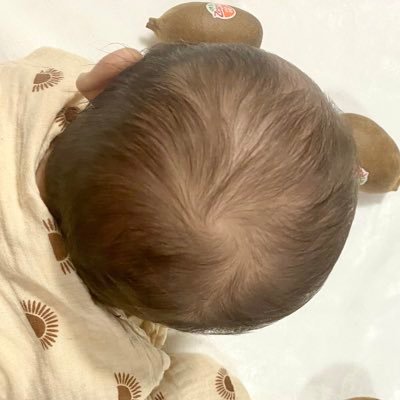 bebe__008's profile picture. 〖 @sush_ogotte 〗の2人目マタ垢👶🏻⌇転勤族⌇フルタイムNs🏥⌇🌾県⌇育児や私生活のツイ多め🫐🌿