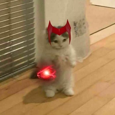 mintywandaolsen's profile picture. love marvel❤️