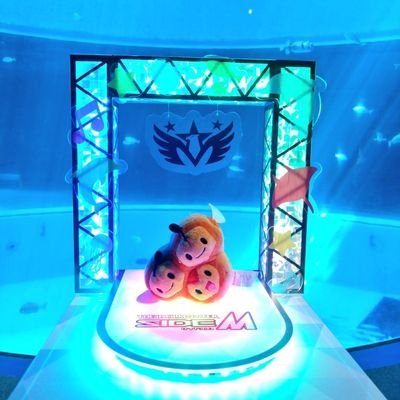 ろきぽんさんのプロフィール画像