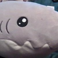 Weightless Mind (@alpha_shade) 's Twitter Profile