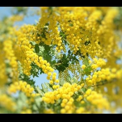 polpolpo0514's profile picture. 