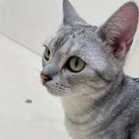 ゆの (@suuday63) 's Twitter Profile