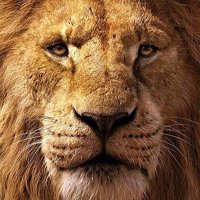 Dr Mahsum (@egiido_) Twitter profile photo