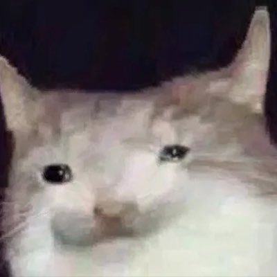 Bannanawing__'s profile picture. Comp Stuff & UEFN Map Creator | 🔥 | Creating unique map experiences for you! 🎮