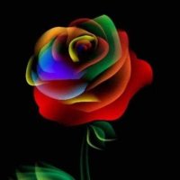wuilsonpda11 (@wuilsonpda11) 's Twitter Profile