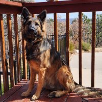 Bill Carson (@bill2car) Twitter profile photo