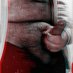 O Pequeno Urso 🐻🔞 (@t_lbear) Twitter profile photo O Pequeno Urso 🐻🔞 (@t_lbear) Twitter profile photo