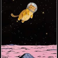 il gatto meow (@agathap69) 's Twitter Profile Photo il gatto meow (@agathap69) 's Twitter Profile Photo