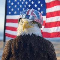 Christos Greek (@christos_vet) 's Twitter Profile Photo Christos Greek (@christos_vet) 's Twitter Profile Photo