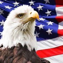 JH_STL_4's profile picture. 