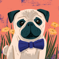 にか (@jwhite10582) 's Twitter Profile