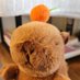 WendyHere!โก๏ธ๐๐๐ค (@wendyhere__) Twitter profile photo WendyHere!โก๏ธ๐๐๐ค (@wendyhere__) Twitter profile photo