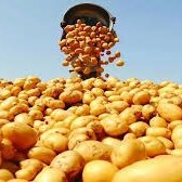 #$102 +3 trillion WAY MICRO SECOND DEAD ALL LIFE IN HE UNIVERSE IGNORE NUCLEAR BOMB ETHIOPIA DISAPPEAR IN century total $600 trillion#