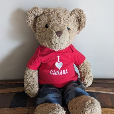 bearbarnaby77's profile picture. A lover of #arsenal, football and cheap wines. Lives with 2 flat mates Jon and Tim.  Just a bear who wants to have fun.