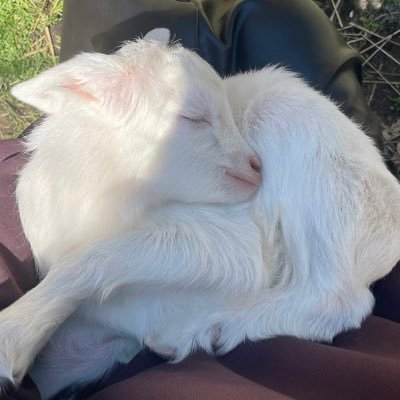 LostlnAcid's profile picture. @Ec_djj