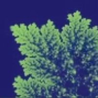 mh (@verhaberlt) 's Twitter Profile