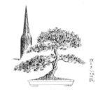 We are the Salisbury Bonsai Society - A friendly society for bonsai enthusiasts