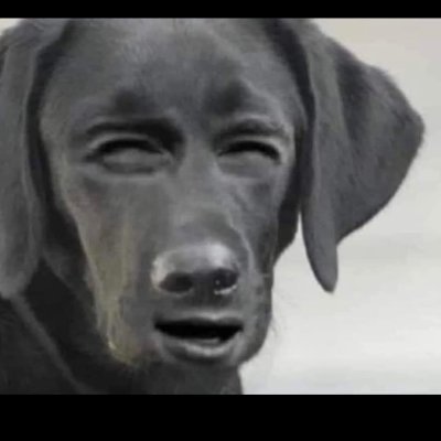 King_Ceaza87's profile picture. 