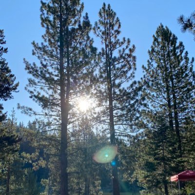 powerful200002's profile picture. God’s own