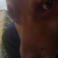 Lehmann Sandrine (@lehmannsan29866) 's Twitter Profile Photo Lehmann Sandrine (@lehmannsan29866) 's Twitter Profile Photo