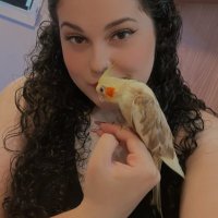 Gabi (@gabilidosa) 's Twitter Profile