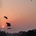 Mahabaleshwar Mamadapur (@mahabalesh88) Twitter profile photo Mahabaleshwar Mamadapur (@mahabalesh88) Twitter profile photo