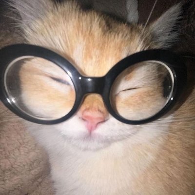 🐾さんのプロフィール画像