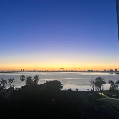 paulocesarcelis's profile picture. #eCommerce, #Streaming, #Stocks, #ArtHistory and #Travel enthusiast.