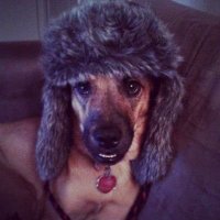 Dawn (@dawntheem0) 's Twitter Profile