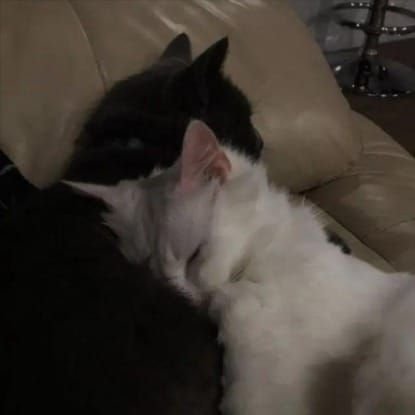 ER_2809's profile picture. 09✨