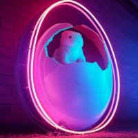 Breeding (@breeding) 's Twitter Profile
