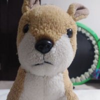 wakkun (@09wakkun) Twitter profile photo