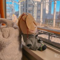 スイ (@sui_nui_323) 's Twitter Profile