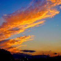ぐっち (@whzkkanvfd34013) Twitter profile photo