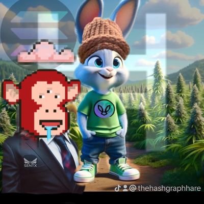 Solana is the playground, Ħedera is the safeground. Mr. Rabbit leads the way, and Always #DYOR & #NFA
