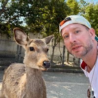 Bacon, Egg n Cheeks (@fullbearsend) 's Twitter Profile