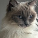 Marcus Royce - @MarcusRyce - Twitter