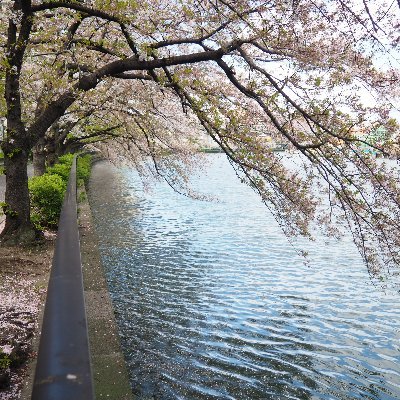 大阪出身の高校卒の真実おっさんや。最近、スマホで英文検索が出来て使える様になったんやで~。世直しするで。