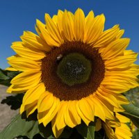 Migdalia Rivera (@migda7) 's Twitter Profile Photo Migdalia Rivera (@migda7) 's Twitter Profile Photo