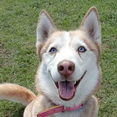 alfenu1704's profile picture. Interés común...