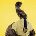 Limu Emu!!! (@limuemutoken) Twitter profile photo Limu Emu!!! (@limuemutoken) Twitter profile photo