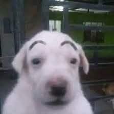ระเยさんのプロフィール画像