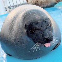 PonsukeRememberer (@ponsukeremember) 's Twitter Profile Photo PonsukeRememberer (@ponsukeremember) 's Twitter Profile Photo